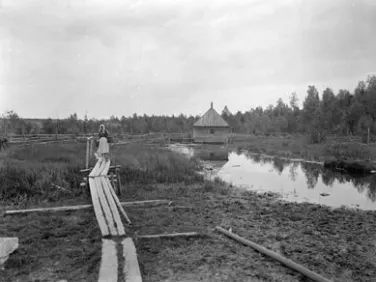 Виды Поволжья